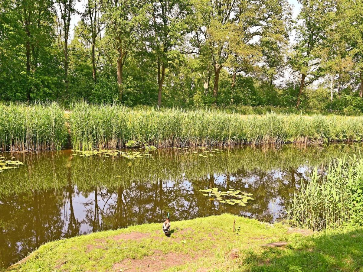 Exquisite Holiday Home In Reutum With Sauna Beekdorp エクステリア 写真